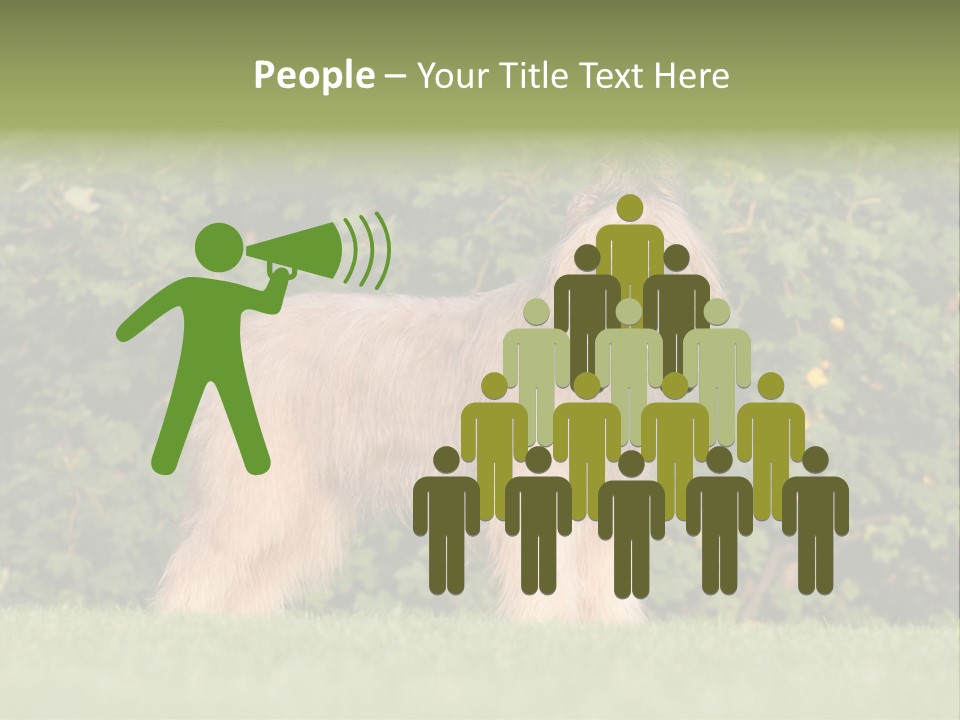 A Dog Standing In A Field With Trees In The Background PowerPoint Template