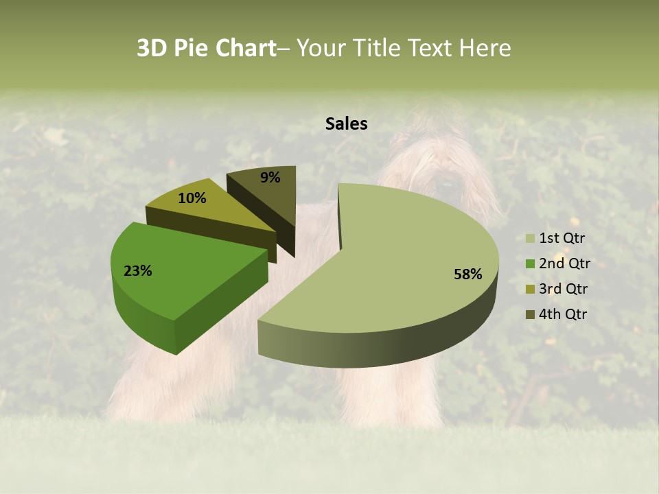 A Dog Standing In A Field With Trees In The Background PowerPoint Template