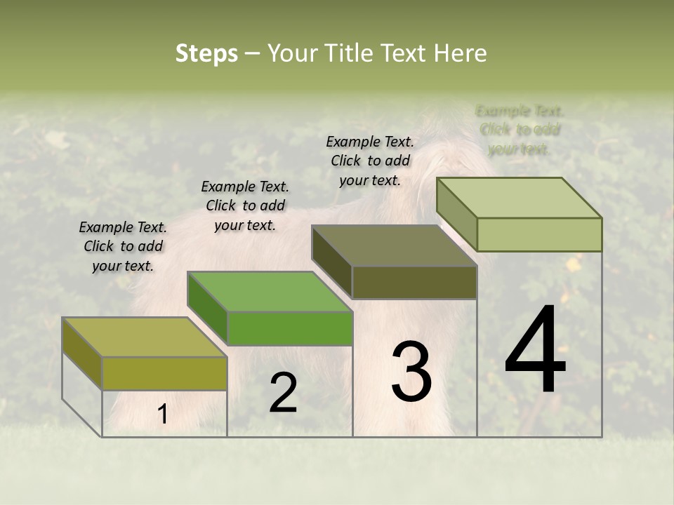 A Dog Standing In A Field With Trees In The Background PowerPoint Template