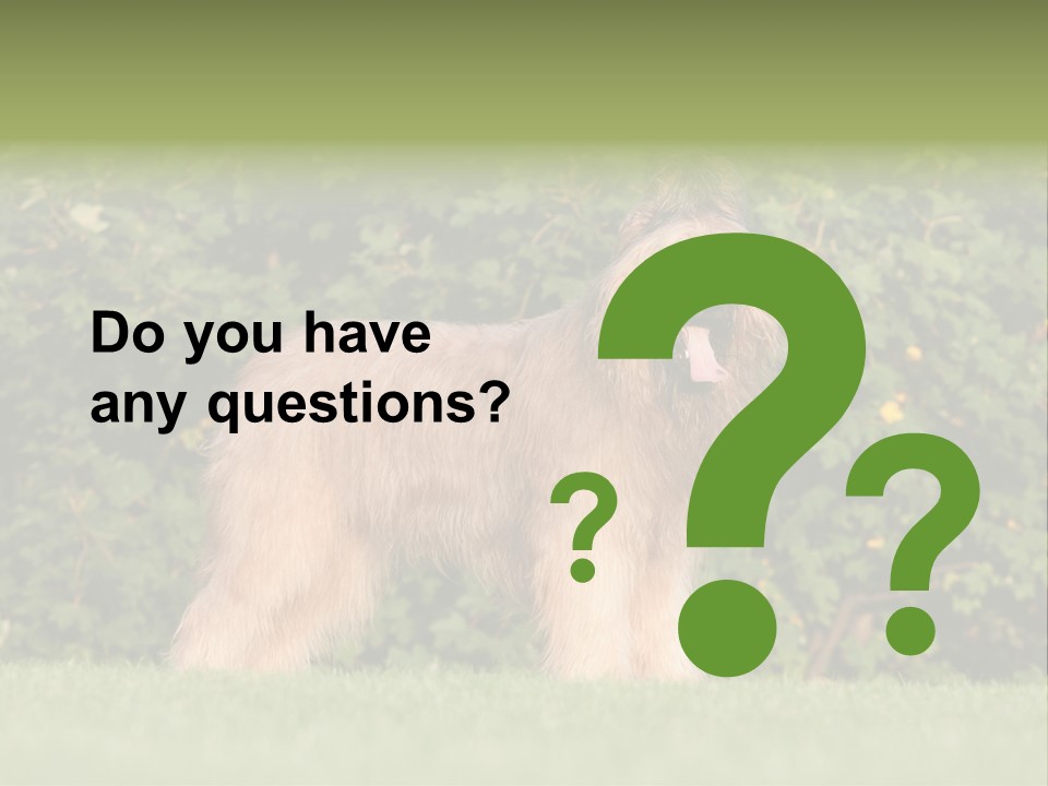 A Dog Standing In A Field With Trees In The Background PowerPoint Template