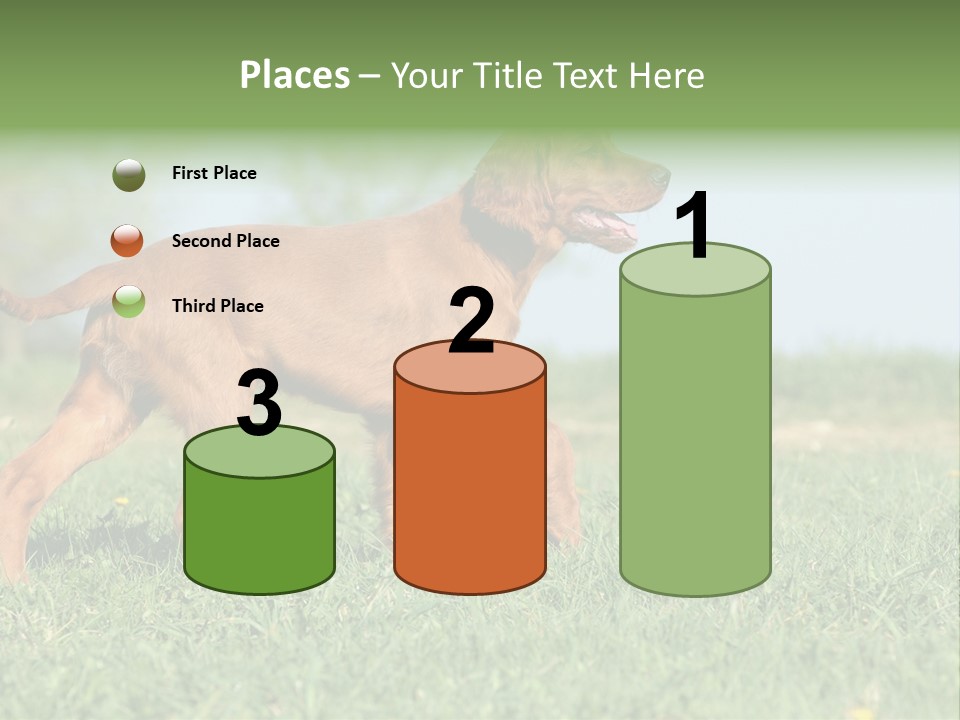 A Brown Dog Running Across A Lush Green Field PowerPoint Template