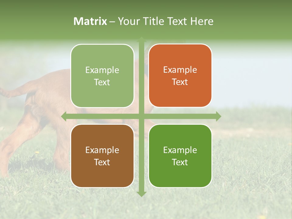A Brown Dog Running Across A Lush Green Field PowerPoint Template