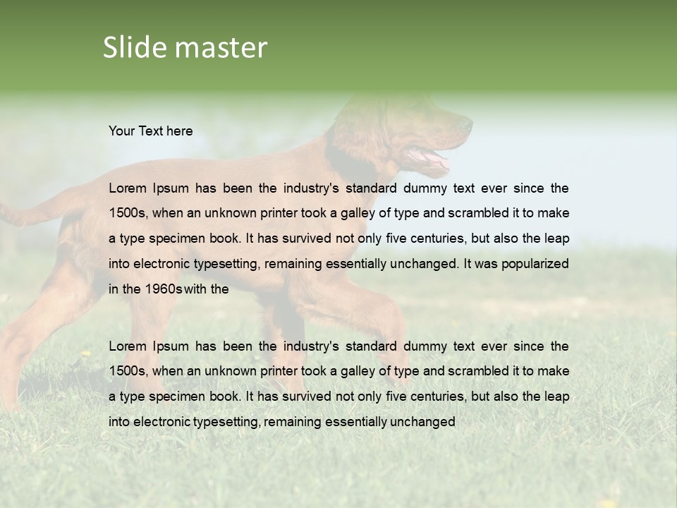 A Brown Dog Running Across A Lush Green Field PowerPoint Template