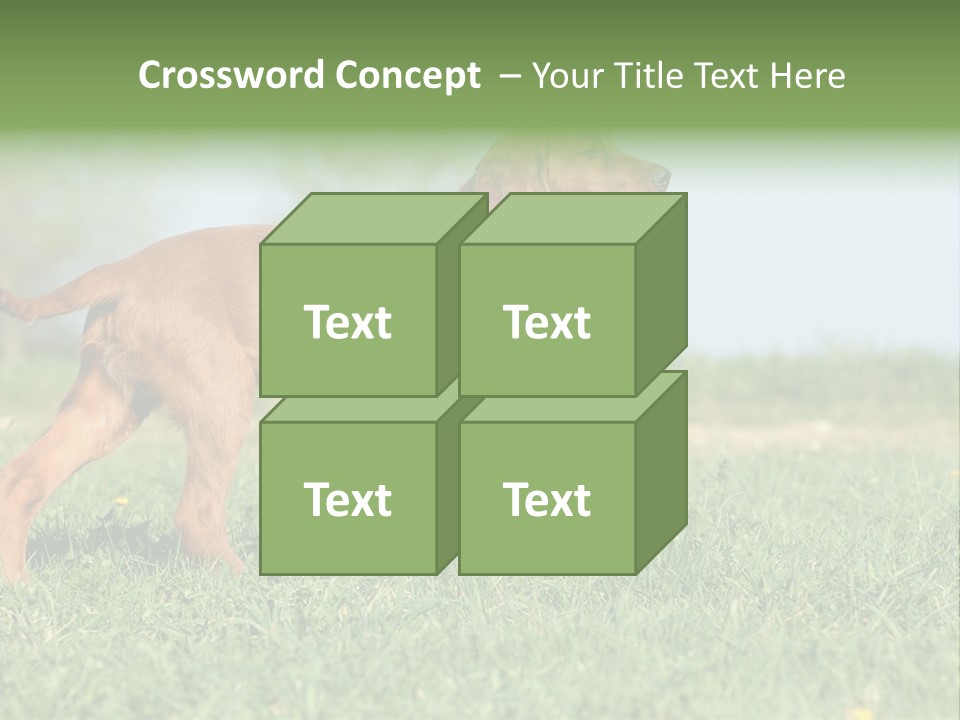 A Brown Dog Running Across A Lush Green Field PowerPoint Template