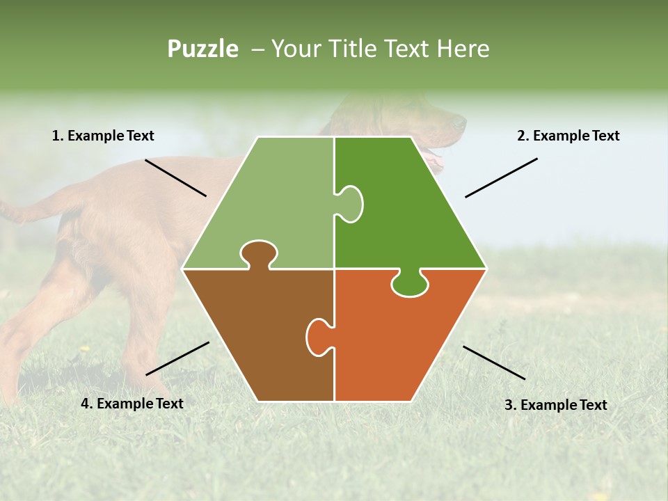 A Brown Dog Running Across A Lush Green Field PowerPoint Template