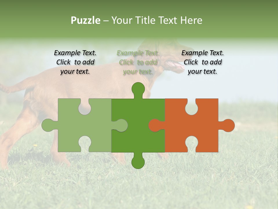 A Brown Dog Running Across A Lush Green Field PowerPoint Template
