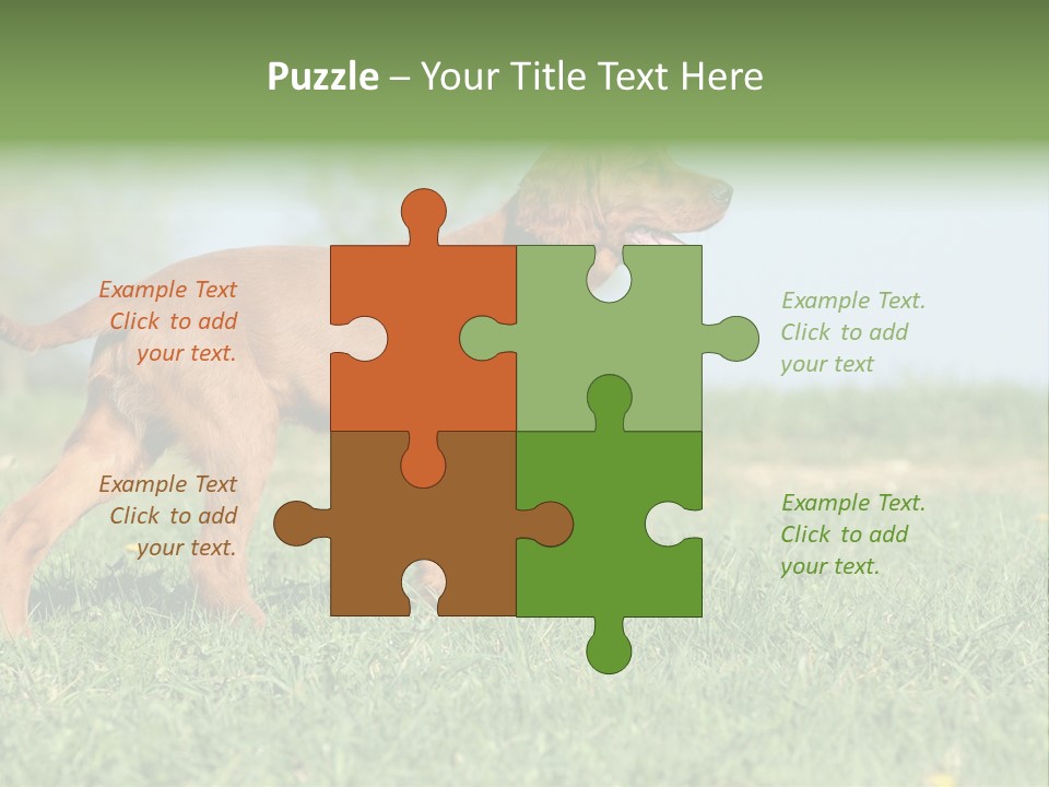 A Brown Dog Running Across A Lush Green Field PowerPoint Template