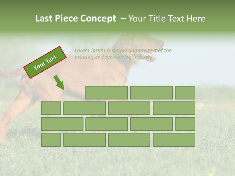 A Brown Dog Running Across A Lush Green Field PowerPoint Template
