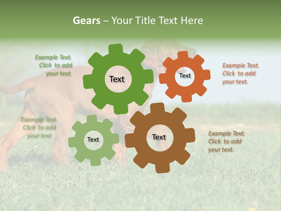 A Brown Dog Running Across A Lush Green Field PowerPoint Template