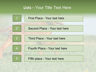 A Brown Dog Running Across A Lush Green Field PowerPoint Template