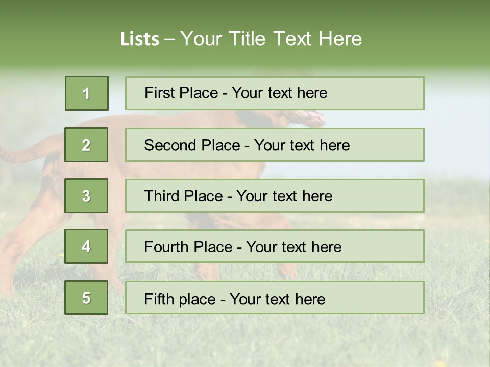 A Brown Dog Running Across A Lush Green Field PowerPoint Template