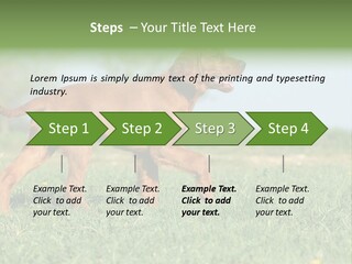 A Brown Dog Running Across A Lush Green Field PowerPoint Template