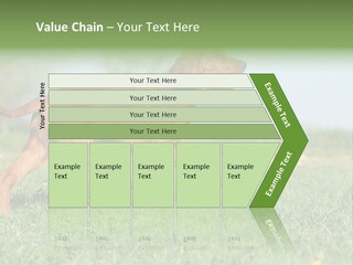 A Brown Dog Running Across A Lush Green Field PowerPoint Template