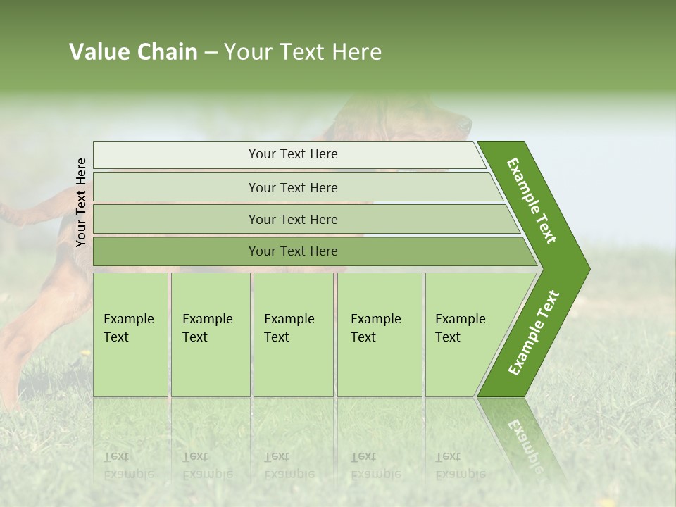 A Brown Dog Running Across A Lush Green Field PowerPoint Template