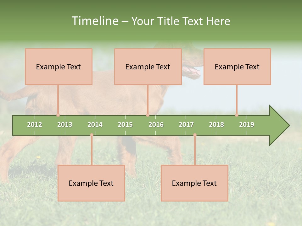 A Brown Dog Running Across A Lush Green Field PowerPoint Template