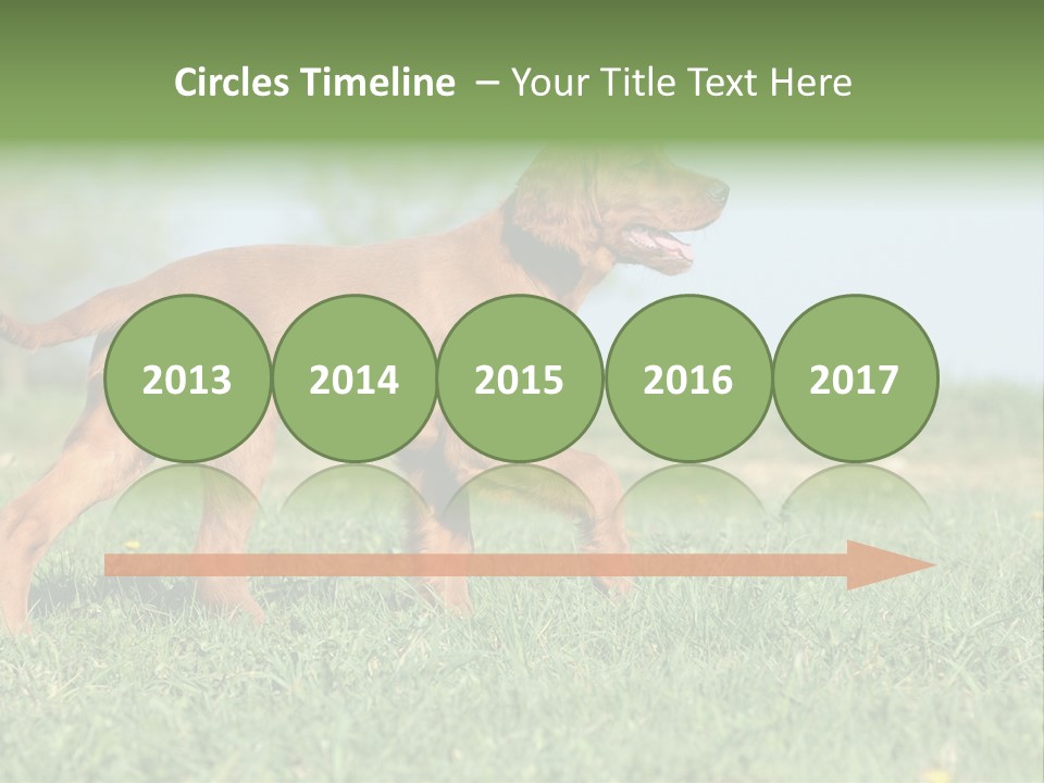 A Brown Dog Running Across A Lush Green Field PowerPoint Template