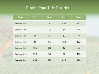 A Brown Dog Running Across A Lush Green Field PowerPoint Template