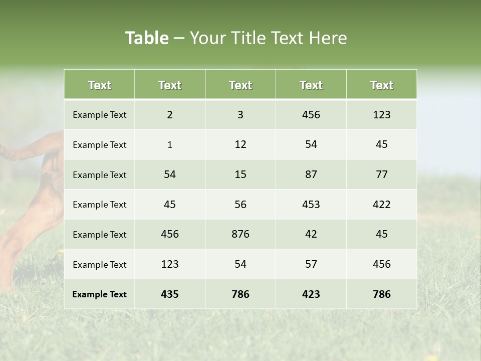 A Brown Dog Running Across A Lush Green Field PowerPoint Template
