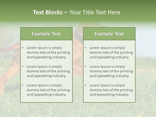 A Brown Dog Running Across A Lush Green Field PowerPoint Template