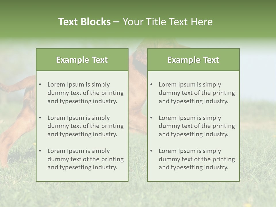 A Brown Dog Running Across A Lush Green Field PowerPoint Template