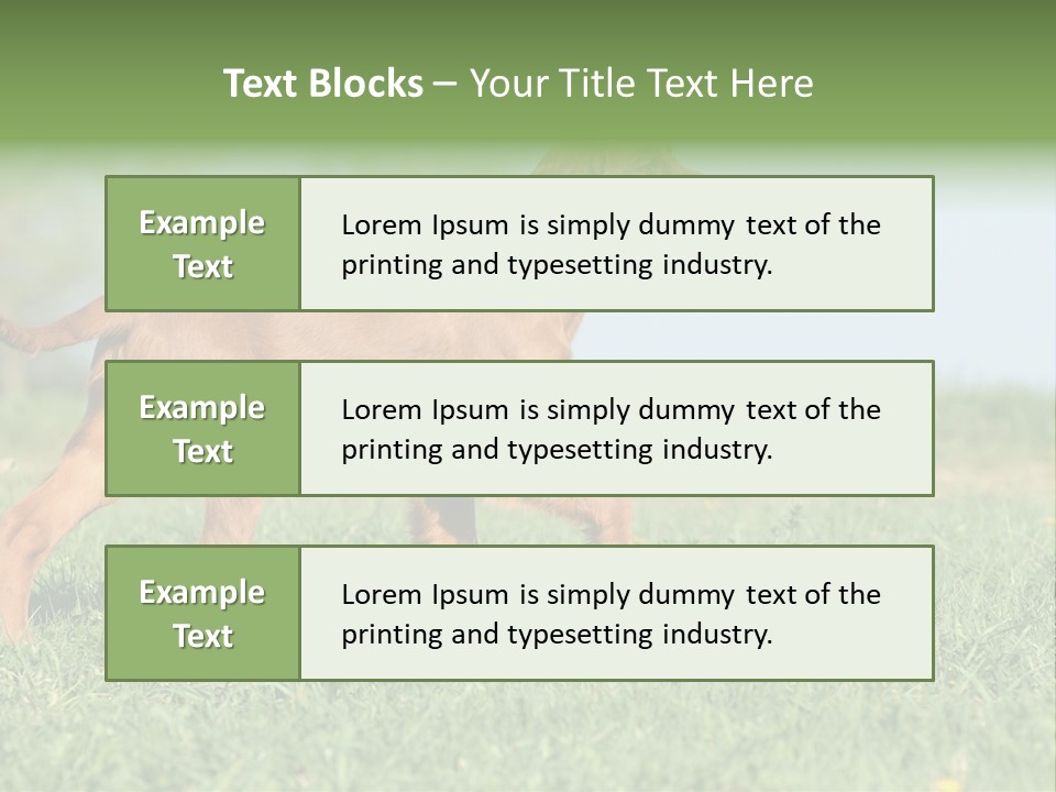 A Brown Dog Running Across A Lush Green Field PowerPoint Template