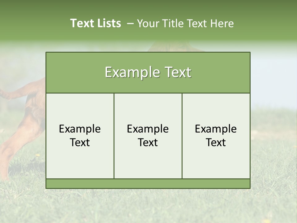 A Brown Dog Running Across A Lush Green Field PowerPoint Template