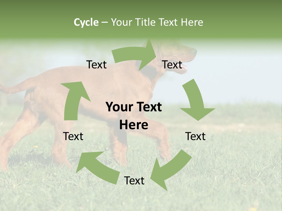 A Brown Dog Running Across A Lush Green Field PowerPoint Template