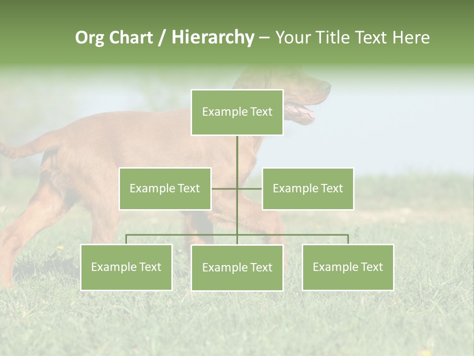 A Brown Dog Running Across A Lush Green Field PowerPoint Template