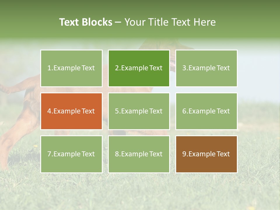 A Brown Dog Running Across A Lush Green Field PowerPoint Template
