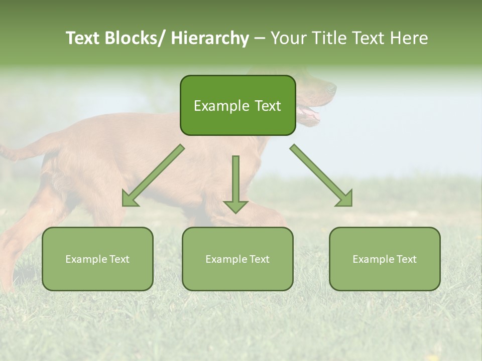 A Brown Dog Running Across A Lush Green Field PowerPoint Template