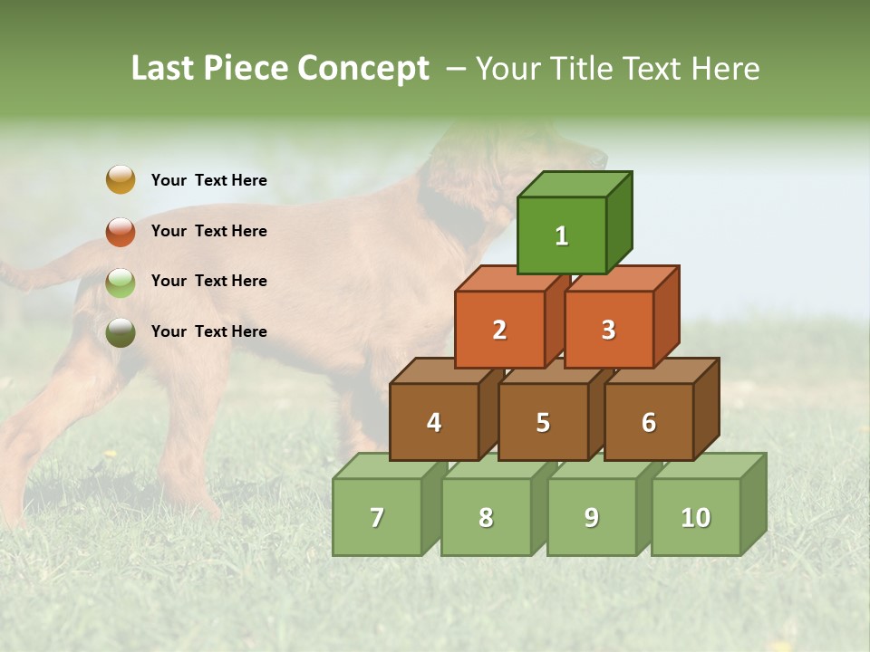 A Brown Dog Running Across A Lush Green Field PowerPoint Template