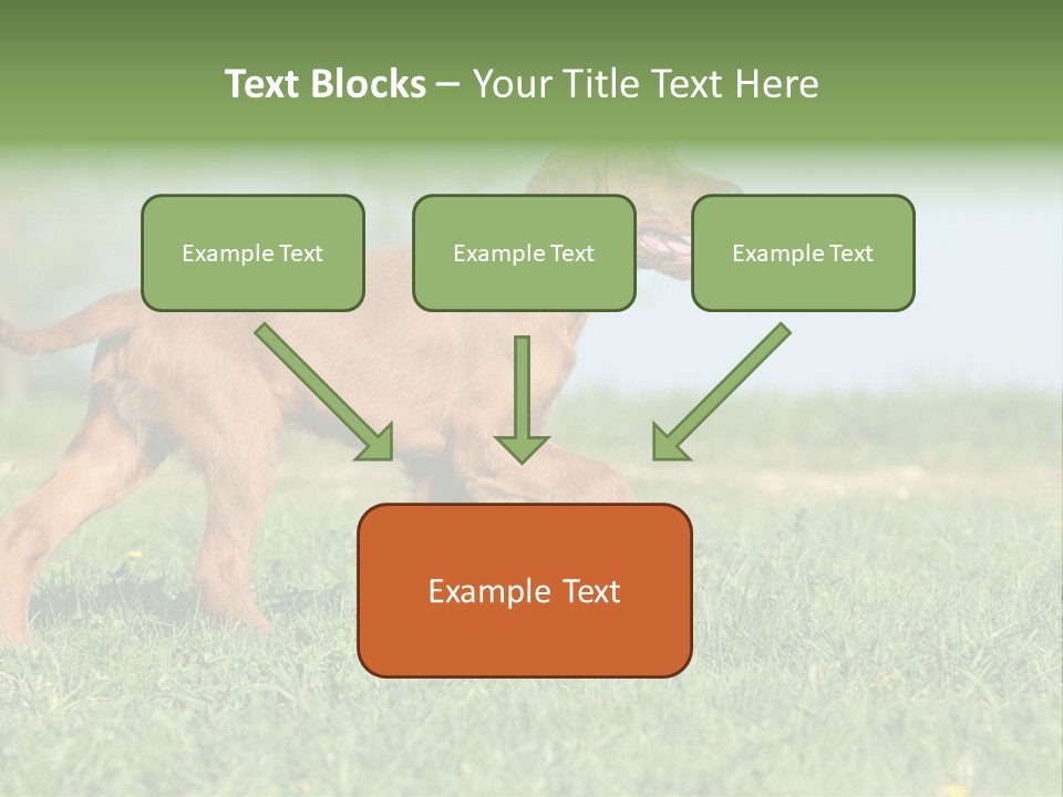 A Brown Dog Running Across A Lush Green Field PowerPoint Template