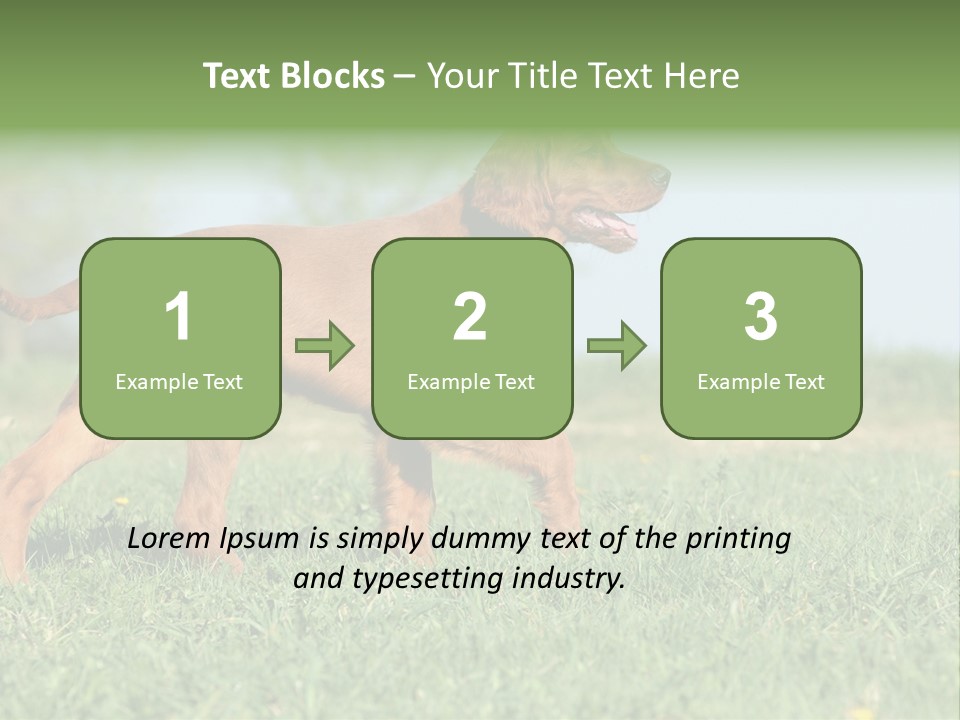 A Brown Dog Running Across A Lush Green Field PowerPoint Template