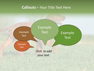 A Brown Dog Running Across A Lush Green Field PowerPoint Template