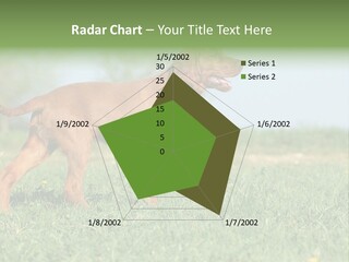A Brown Dog Running Across A Lush Green Field PowerPoint Template