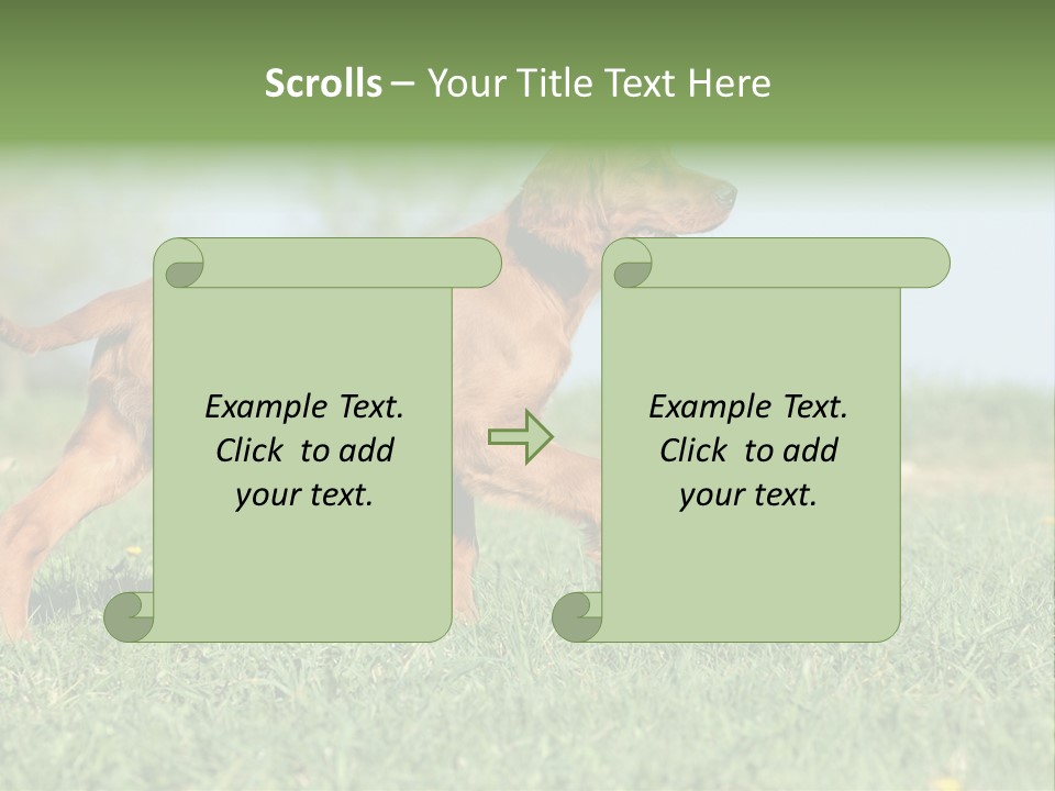 A Brown Dog Running Across A Lush Green Field PowerPoint Template