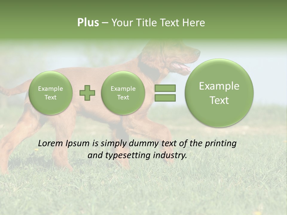 A Brown Dog Running Across A Lush Green Field PowerPoint Template