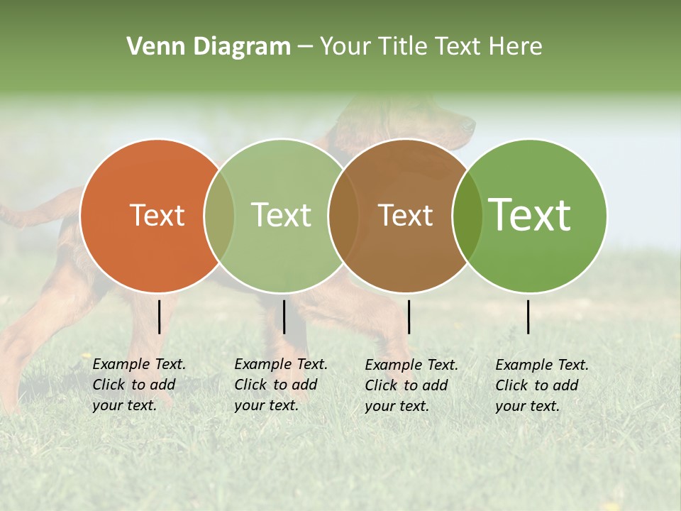 A Brown Dog Running Across A Lush Green Field PowerPoint Template