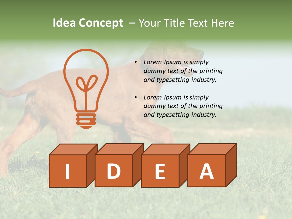 A Brown Dog Running Across A Lush Green Field PowerPoint Template