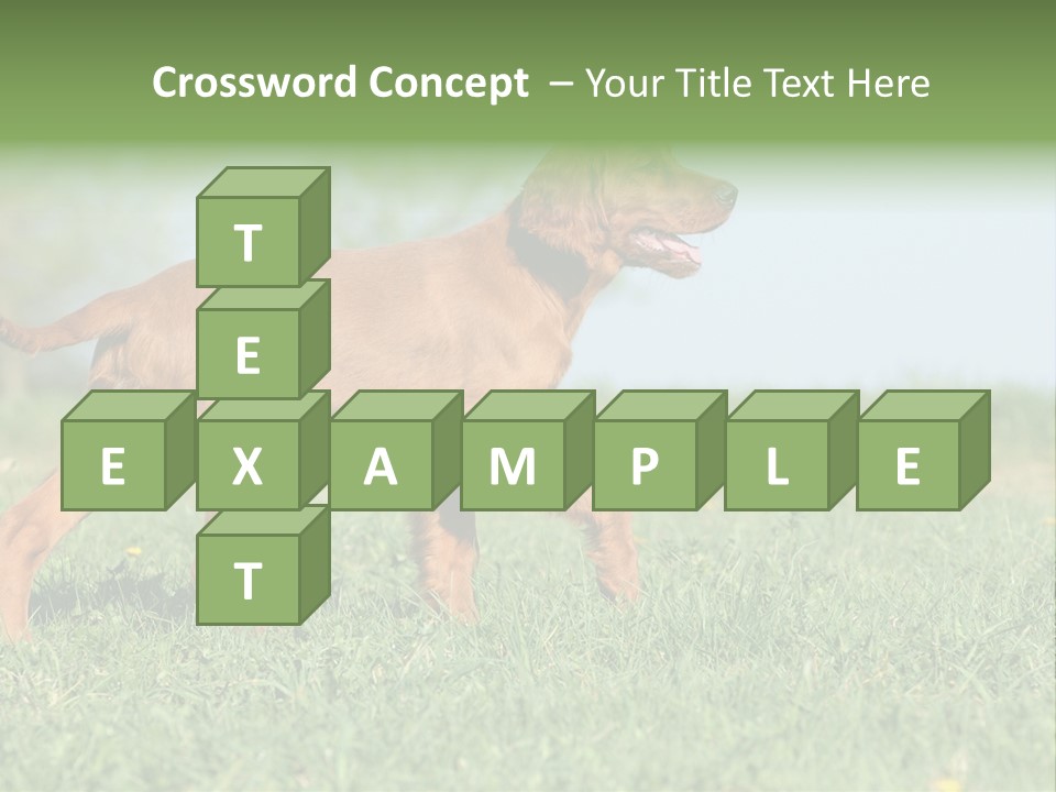 A Brown Dog Running Across A Lush Green Field PowerPoint Template
