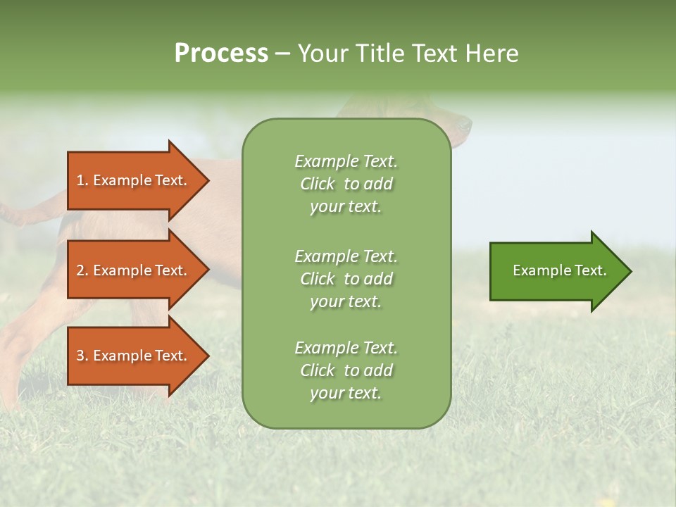 A Brown Dog Running Across A Lush Green Field PowerPoint Template