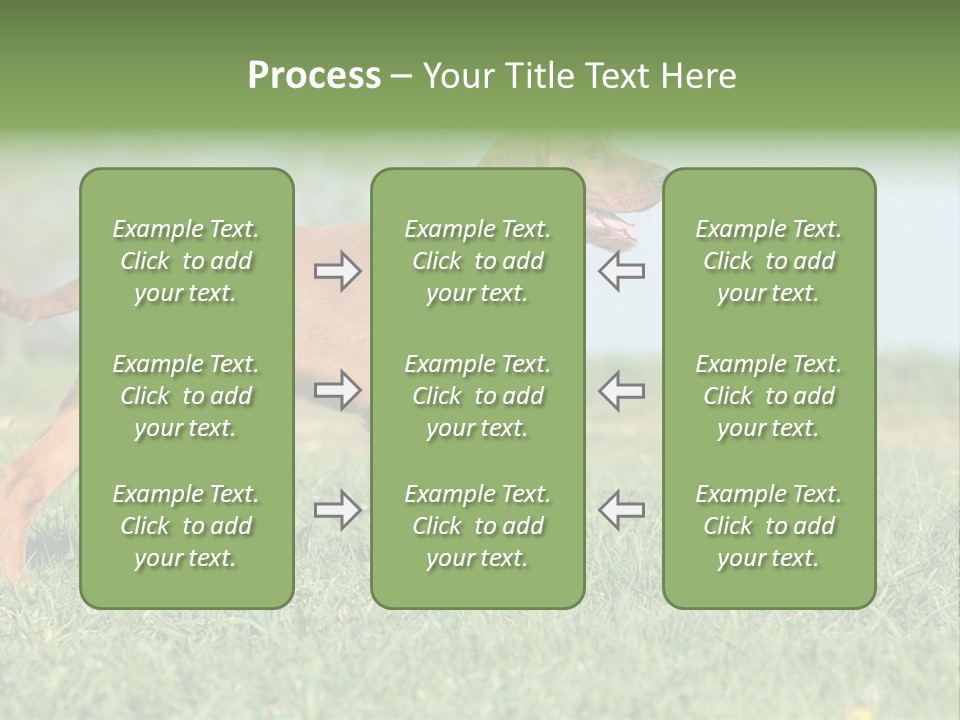 A Brown Dog Running Across A Lush Green Field PowerPoint Template