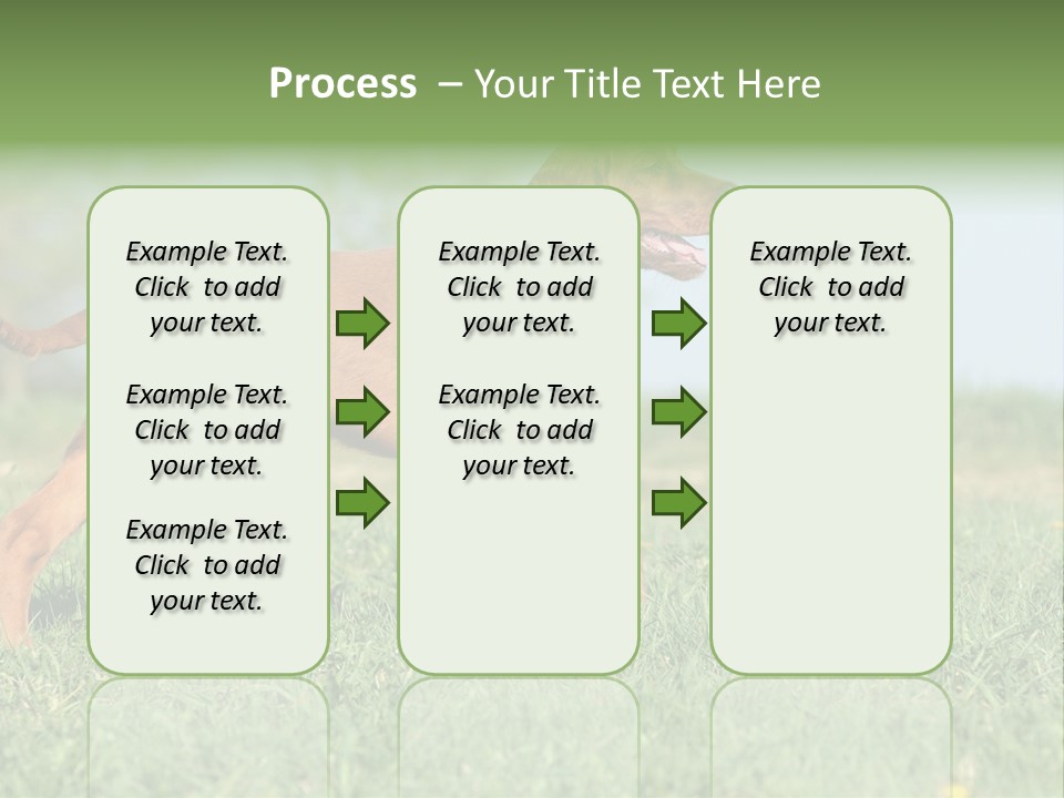 A Brown Dog Running Across A Lush Green Field PowerPoint Template