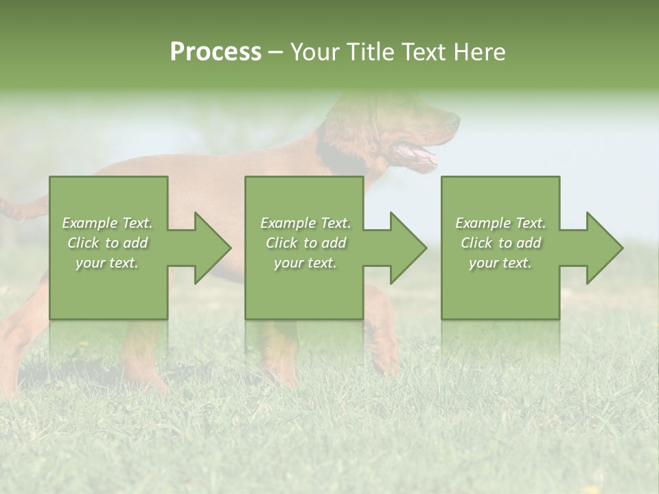 A Brown Dog Running Across A Lush Green Field PowerPoint Template