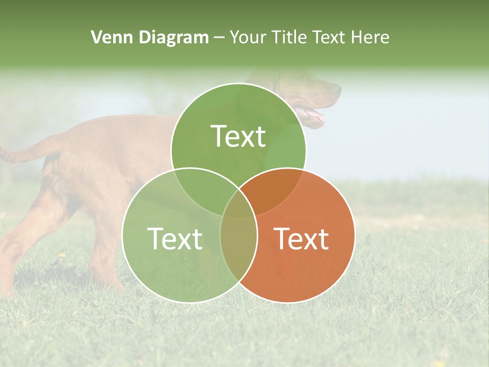 A Brown Dog Running Across A Lush Green Field PowerPoint Template