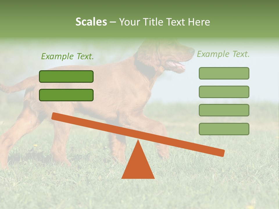 A Brown Dog Running Across A Lush Green Field PowerPoint Template