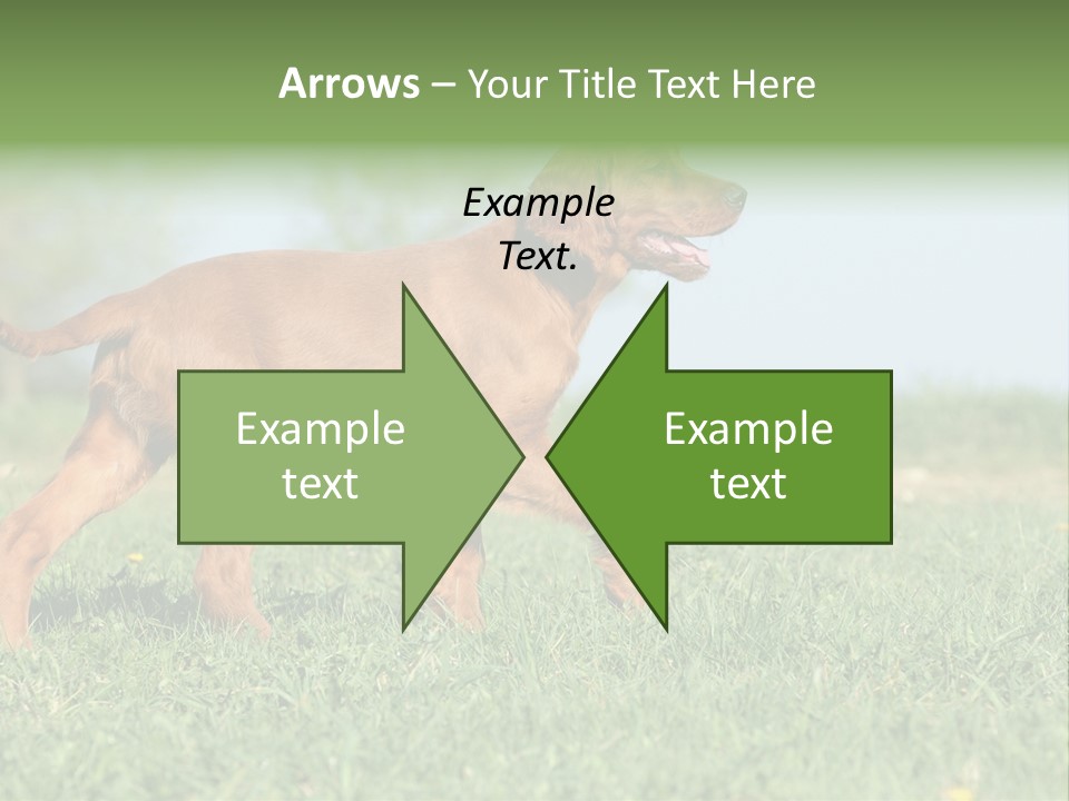 A Brown Dog Running Across A Lush Green Field PowerPoint Template