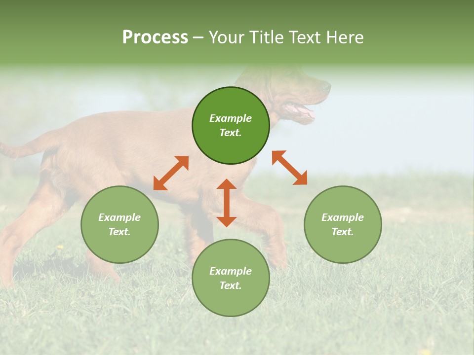 A Brown Dog Running Across A Lush Green Field PowerPoint Template