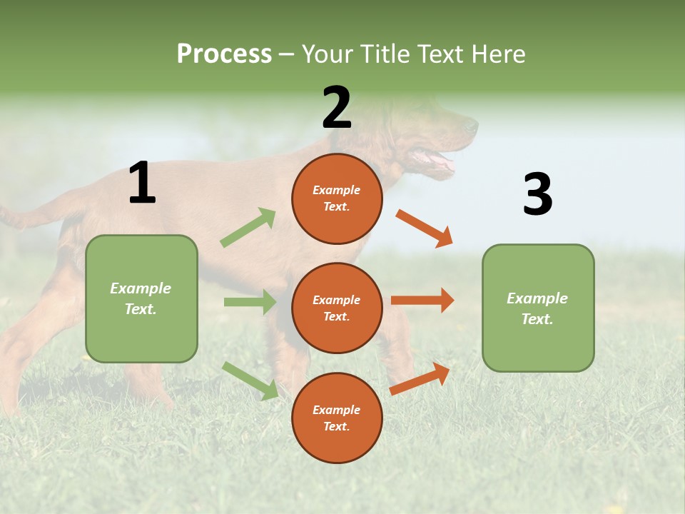 A Brown Dog Running Across A Lush Green Field PowerPoint Template