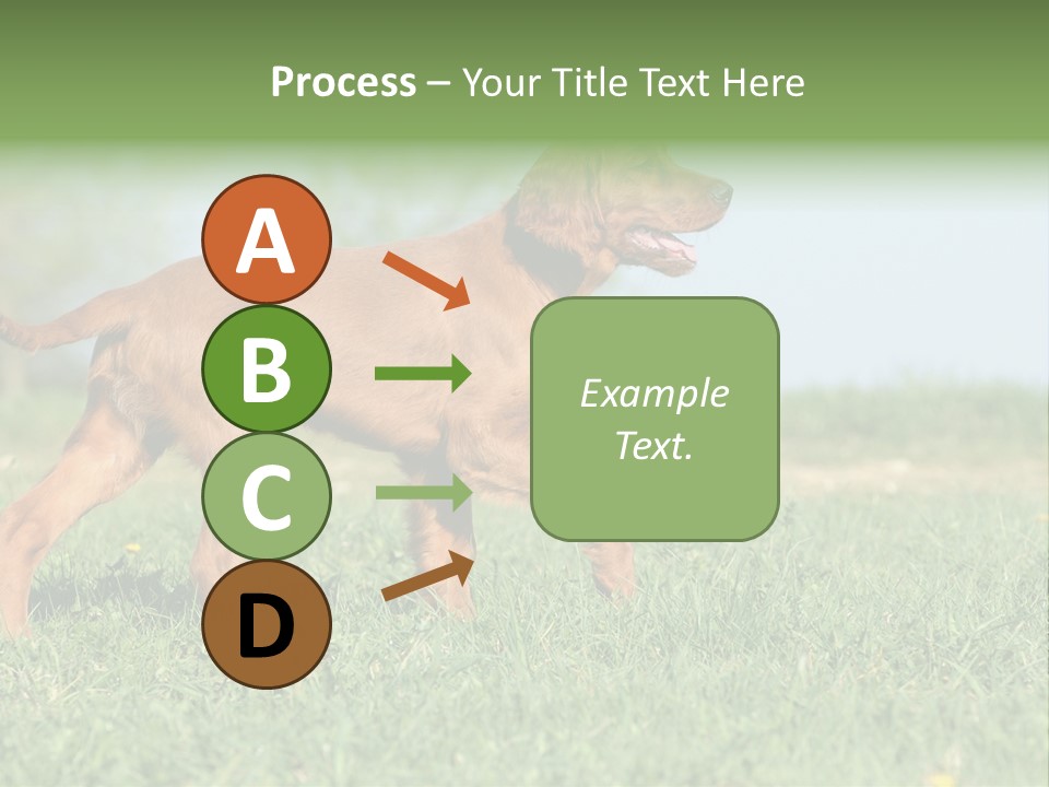 A Brown Dog Running Across A Lush Green Field PowerPoint Template